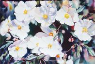For Sale - Renee Ekleberry Art Collection