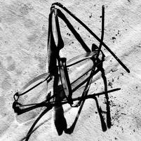 BW Fine art photography by Renee Ekleberry