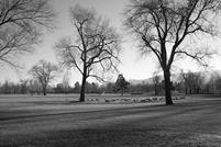 BW Fine art photography by Renee Ekleberry