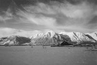 BW Fine art photography by Renee Ekleberry