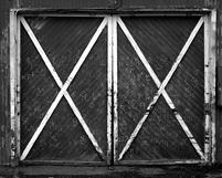 BW Fine art photography by Renee Ekleberry