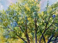 For Sale - Renee Ekleberry Art Collection